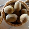猴面包树能用来烤面包吗？