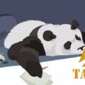 健康睡眠：子午觉(23点~1点，11点~13点)