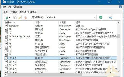 Directory Opus（DO）整理文件的一些便捷操作经验