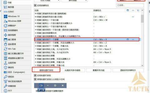 去除DisplayFusion加在窗口上的“标题栏”按钮