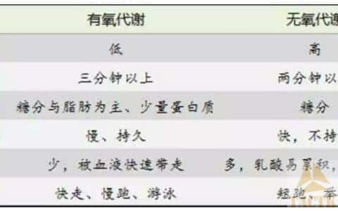 “有氧”与“无氧”运动